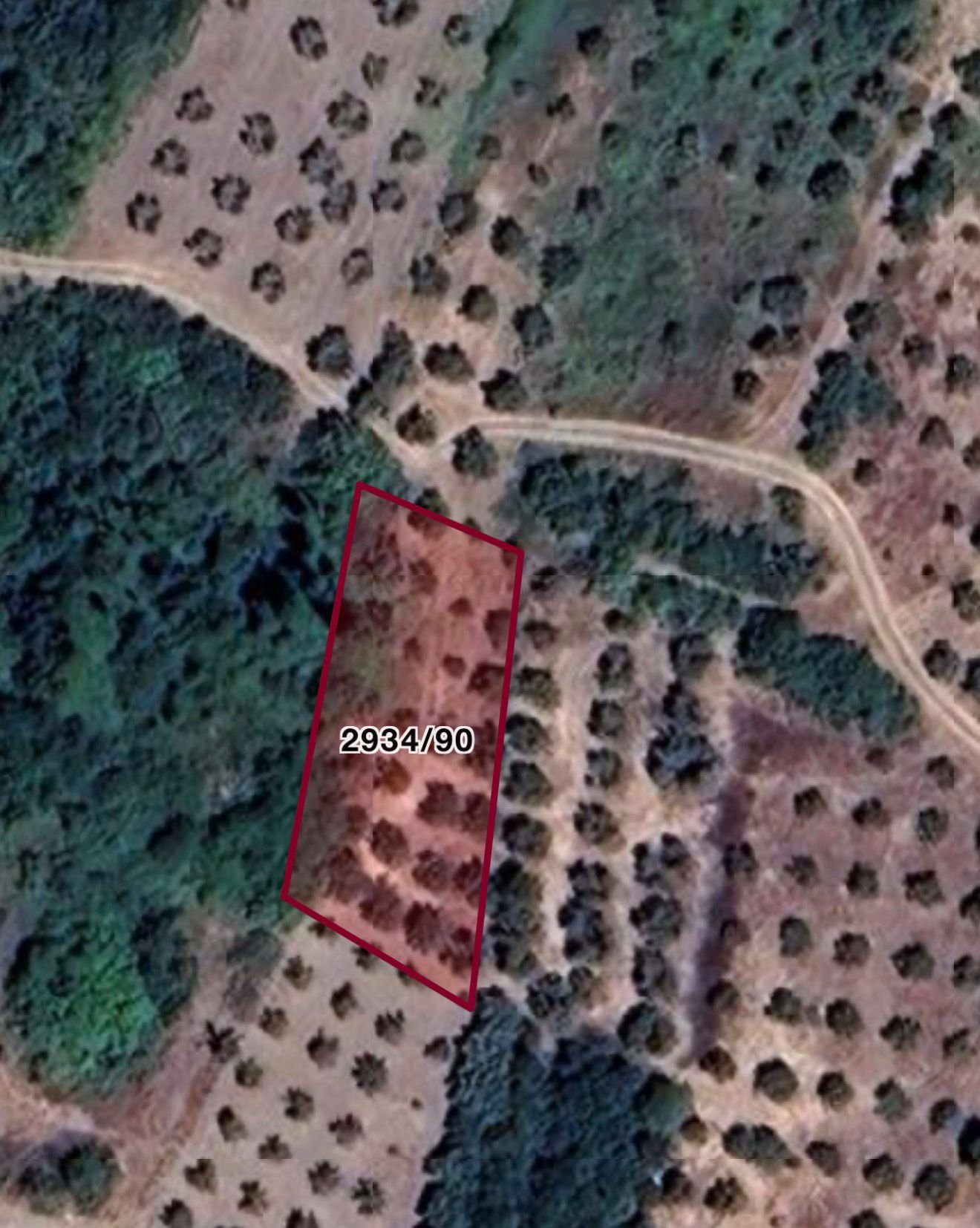 WhatsApp Image 2026-03-29 at 15.48.09